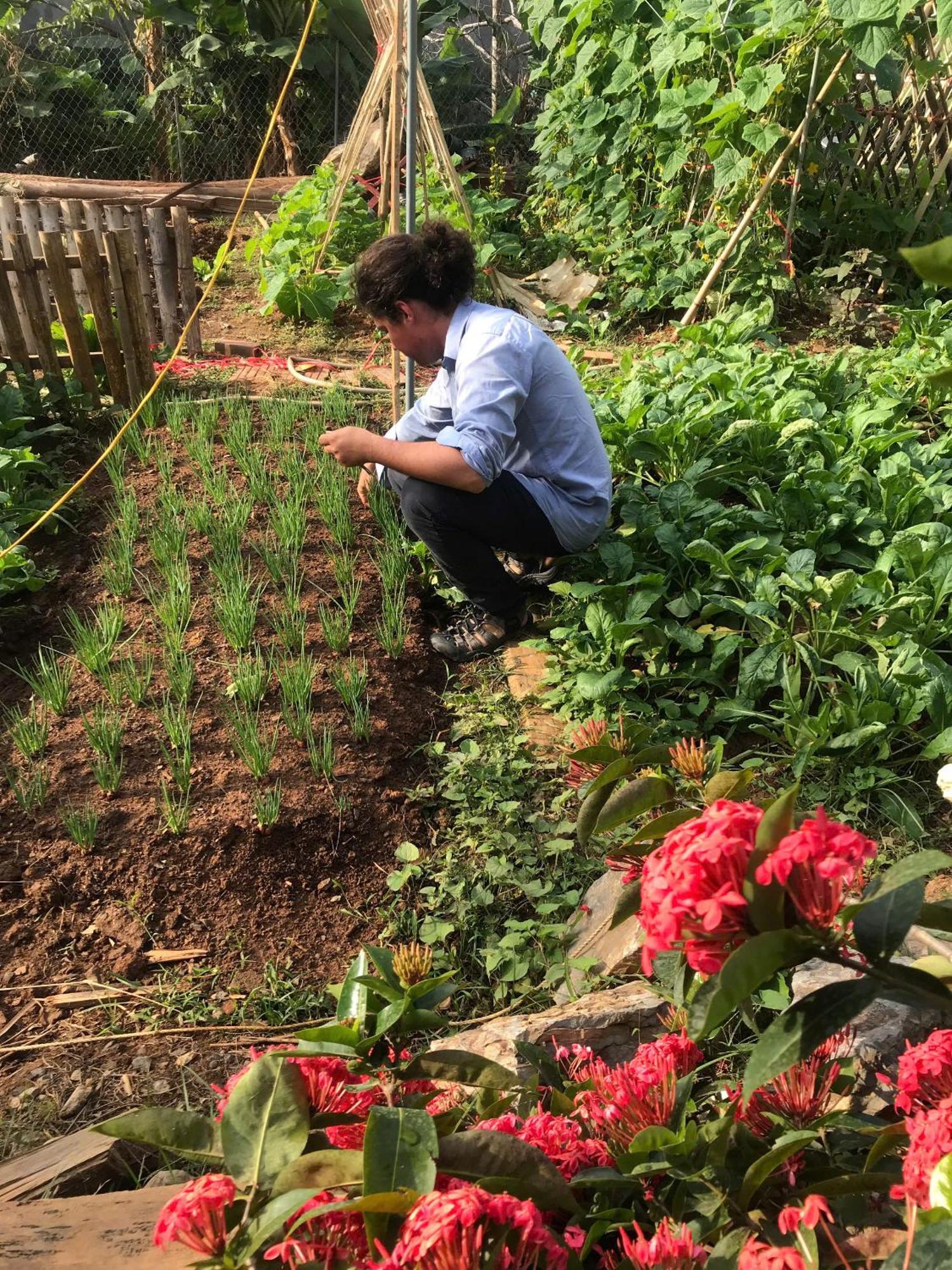 Bee Lucky Homestay Hien Hao Exterior foto