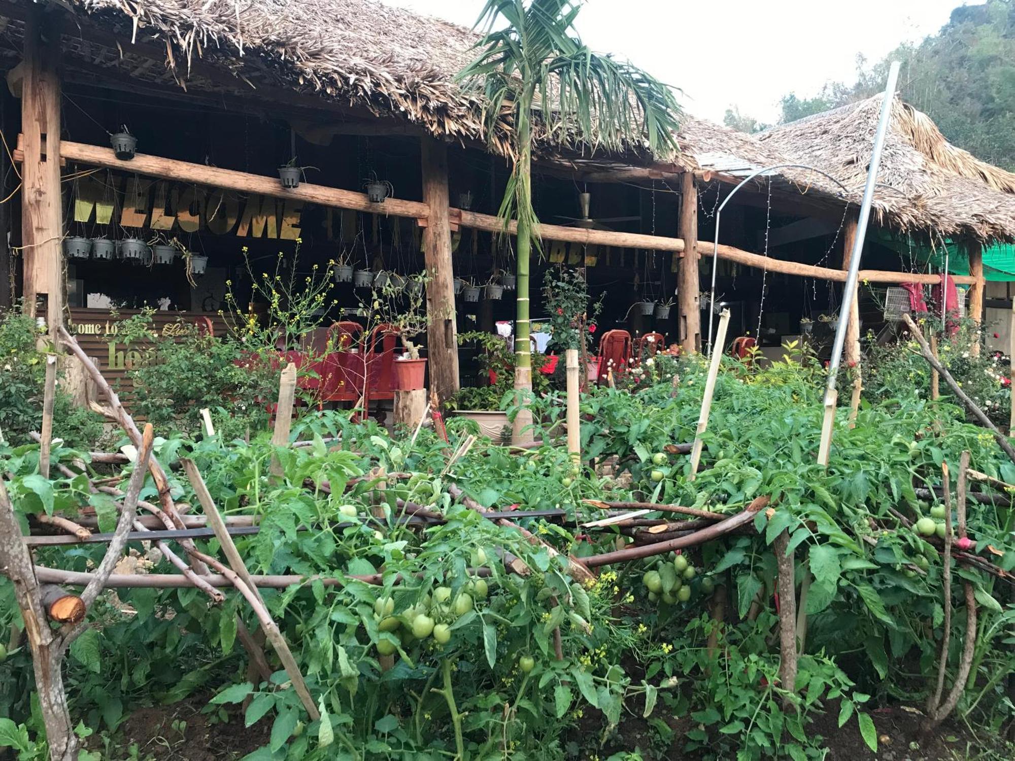 Bee Lucky Homestay Hien Hao Exterior foto