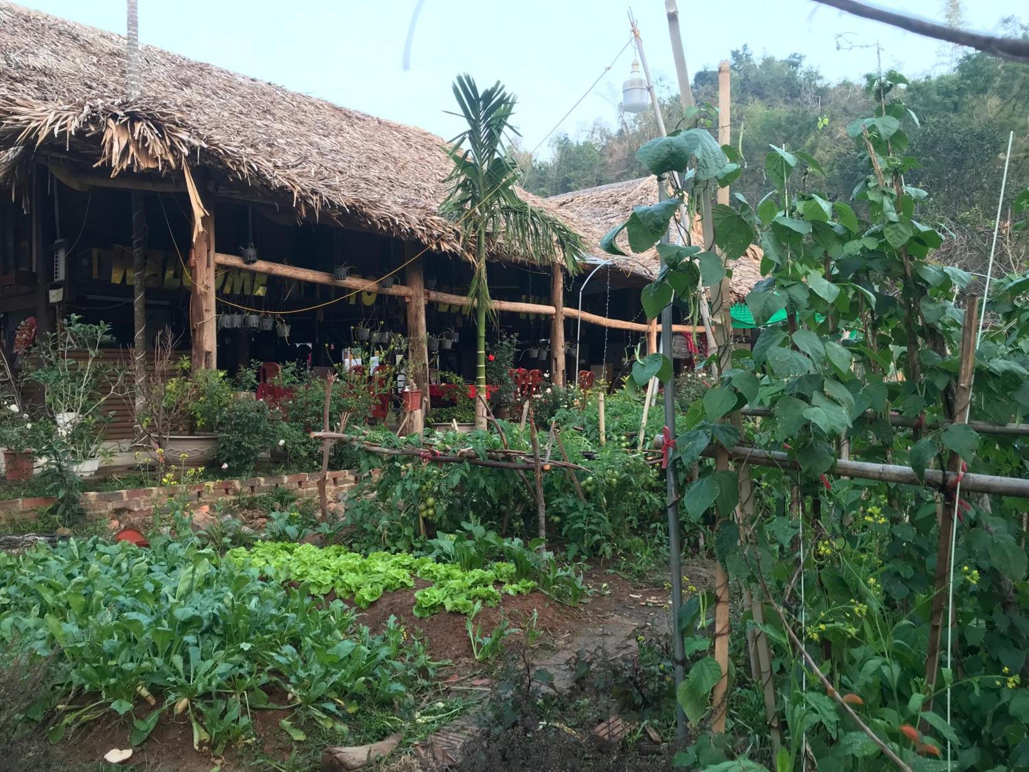 Bee Lucky Homestay Hien Hao Exterior foto